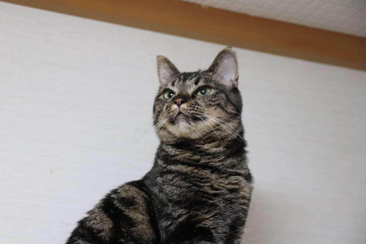 エステサロンのオーナーとしての美意識
