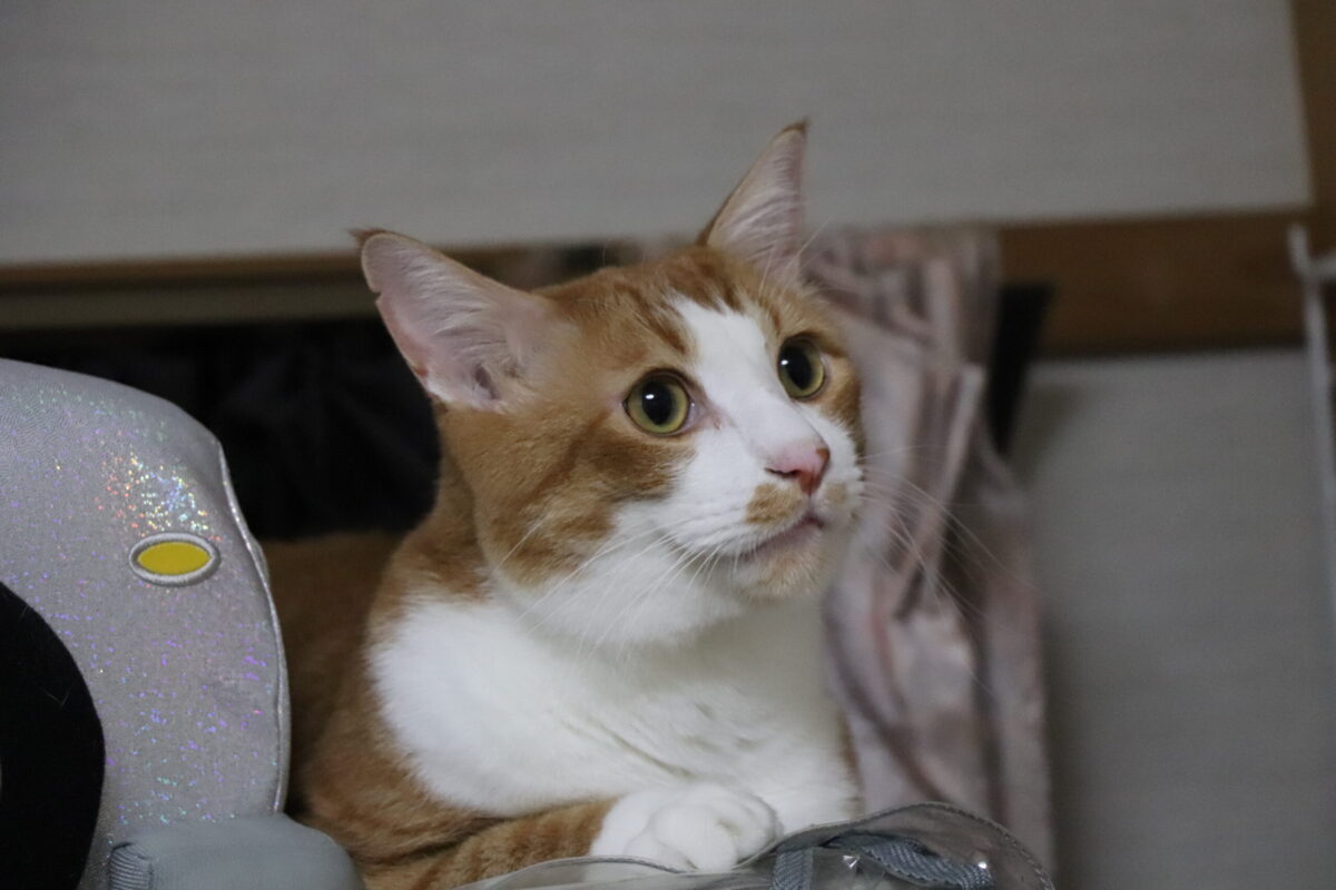 エステサロンのSNSのネガティブな口コミへの対応策