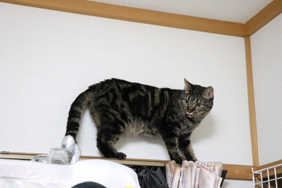 エステサロンへ自然に紹介をしてもらうためにオーナーとして心がけること