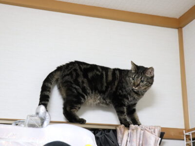 エステサロンへ自然に紹介をしてもらうためにオーナーとして心がけること